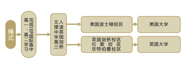 双威国际学校择校模式