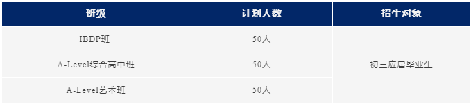 园外国际高中部2024招生计划