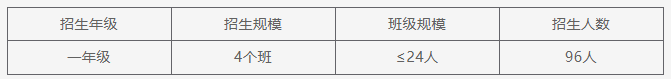 小学招生计划